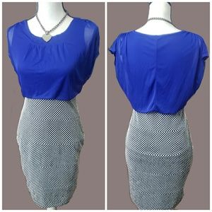 DRESSES | Blue/Blk/White Contrast Bodycon!